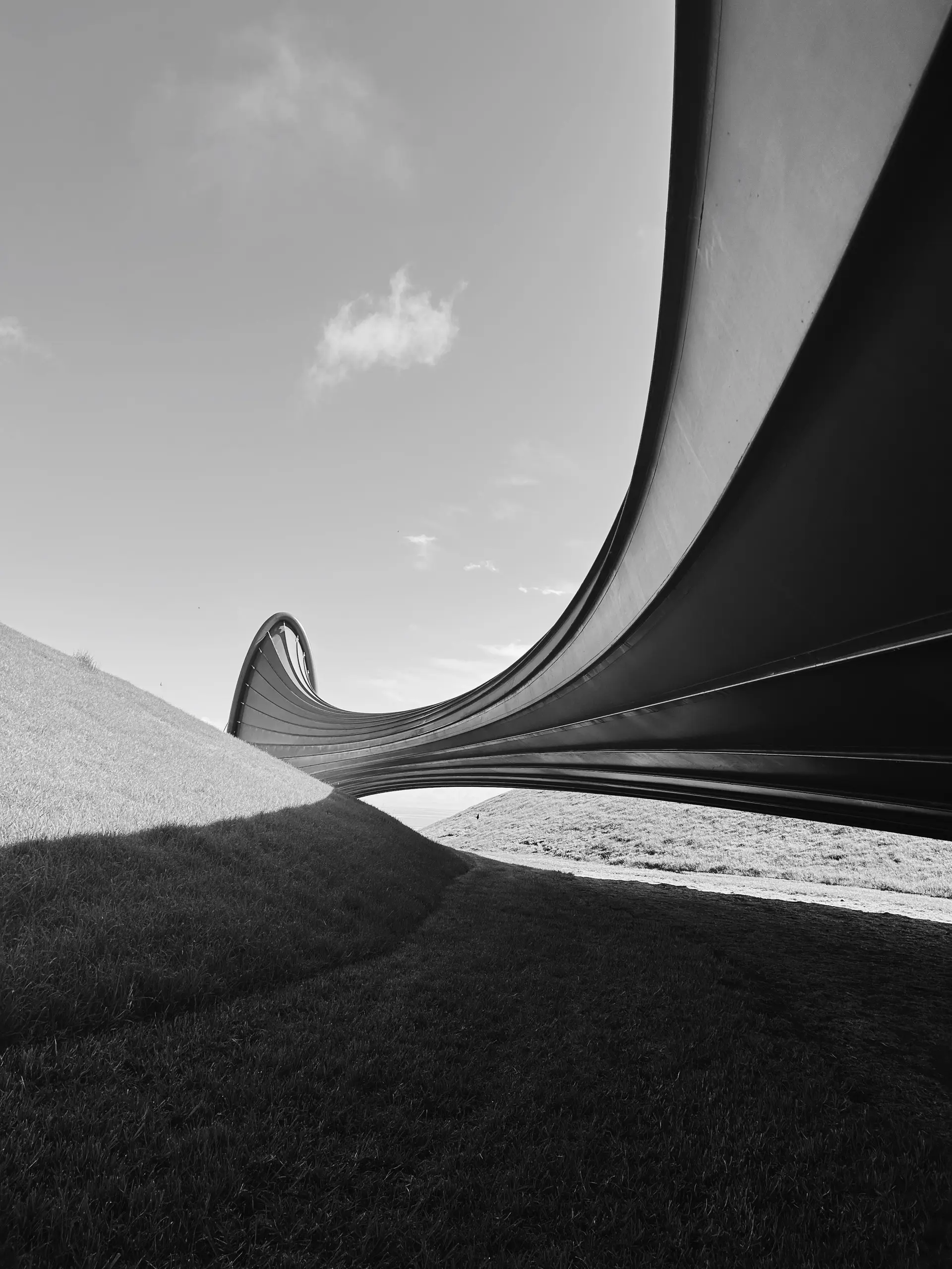 Monochrome Landscape