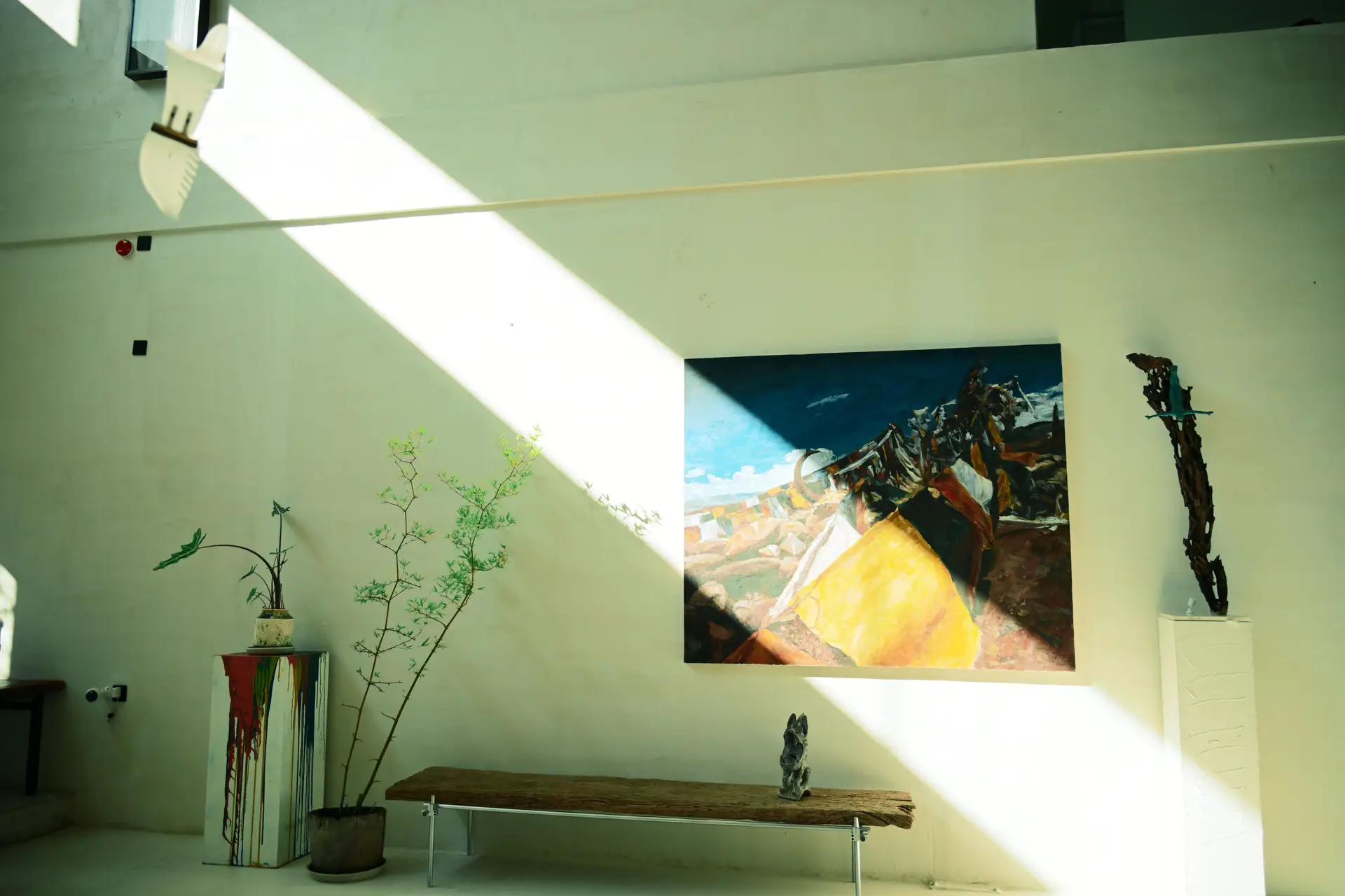 Stillness of the Southern Alps Exhibition