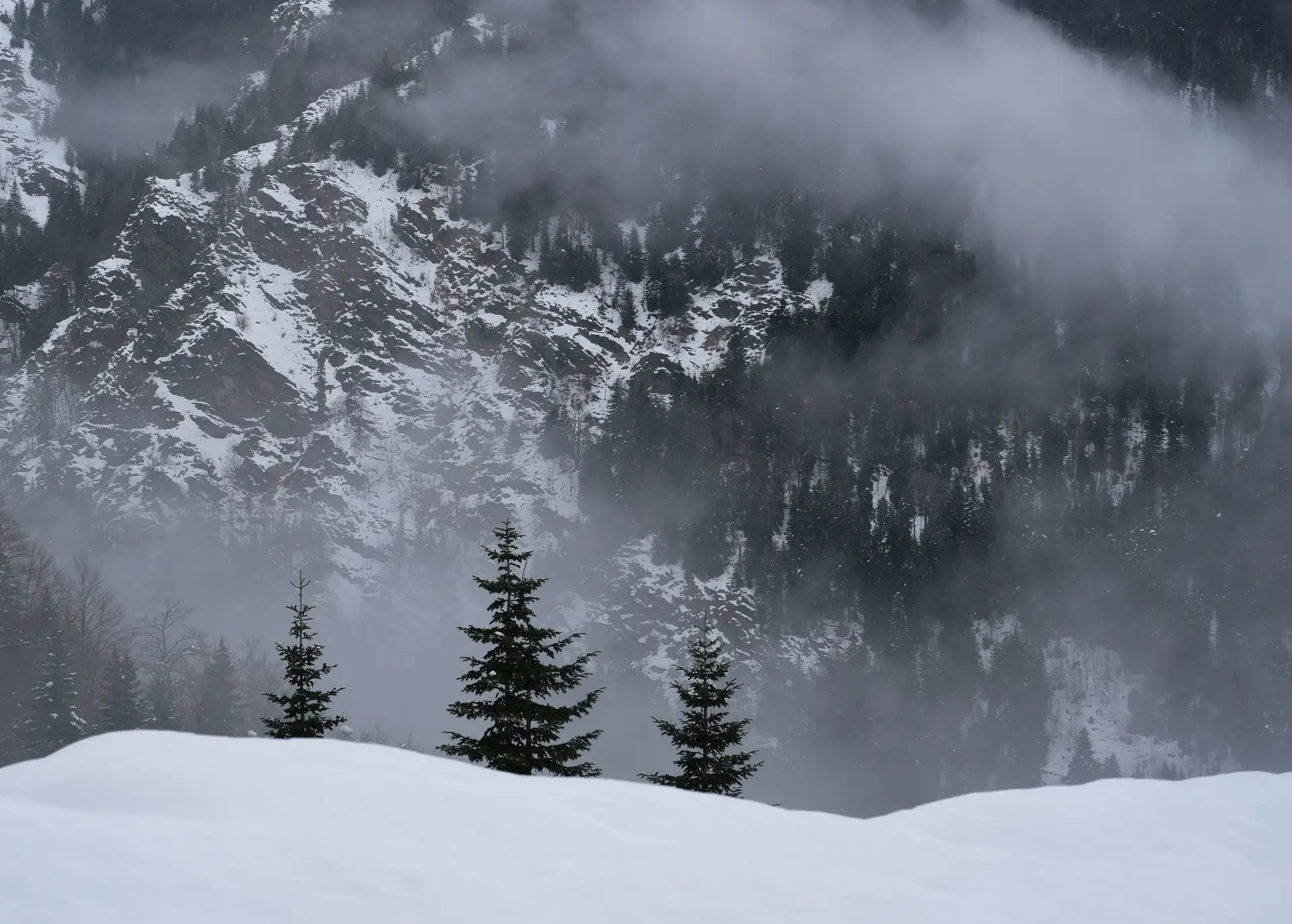 Winter landscape